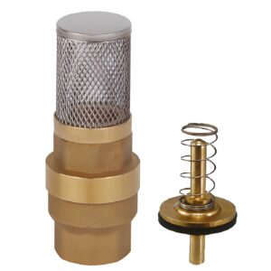 foot valve